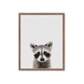 Picture of Peekaboo Raccoon _GroupedProduct_Rectangle_Portrait_Mini_ _GroupedProduct_Rectangle_Portrait_Framed_Matted_