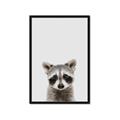 Picture of Peekaboo Raccoon _GroupedProduct_Rectangle_Portrait_Mini_ _GroupedProduct_Rectangle_Portrait_Framed_Matted_