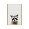 Picture of Peekaboo Raccoon _GroupedProduct_Rectangle_Portrait_Mini_ _GroupedProduct_Rectangle_Portrait_Framed_Matted_