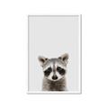 Picture of Peekaboo Raccoon _GroupedProduct_Rectangle_Portrait_Mini_ _GroupedProduct_Rectangle_Portrait_Framed_Matted_