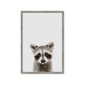 Picture of Peekaboo Raccoon _GroupedProduct_Rectangle_Portrait_Mini_ _GroupedProduct_Rectangle_Portrait_Framed_Matted_