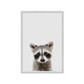 Picture of Peekaboo Raccoon _GroupedProduct_Rectangle_Portrait_Mini_ _GroupedProduct_Rectangle_Portrait_Framed_Matted_