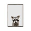 Picture of Peekaboo Raccoon _GroupedProduct_Rectangle_Portrait_Mini_ _GroupedProduct_Rectangle_Portrait_Framed_Matted_
