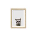Picture of Peekaboo Raccoon _GroupedProduct_Rectangle_Portrait_Mini_ _GroupedProduct_Rectangle_Portrait_Framed_Matted_