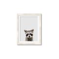 Picture of Peekaboo Raccoon _GroupedProduct_Rectangle_Portrait_Mini_ _GroupedProduct_Rectangle_Portrait_Framed_Matted_