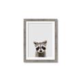 Picture of Peekaboo Raccoon _GroupedProduct_Rectangle_Portrait_Mini_ _GroupedProduct_Rectangle_Portrait_Framed_Matted_