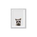 Picture of Peekaboo Raccoon _GroupedProduct_Rectangle_Portrait_Mini_ _GroupedProduct_Rectangle_Portrait_Framed_Matted_