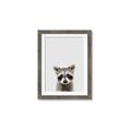 Picture of Peekaboo Raccoon _GroupedProduct_Rectangle_Portrait_Mini_ _GroupedProduct_Rectangle_Portrait_Framed_Matted_