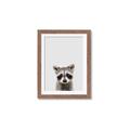 Picture of Peekaboo Raccoon _GroupedProduct_Rectangle_Portrait_Mini_ _GroupedProduct_Rectangle_Portrait_Framed_Matted_