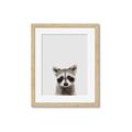 Picture of Peekaboo Raccoon _GroupedProduct_Rectangle_Portrait_Mini_ _GroupedProduct_Rectangle_Portrait_Framed_Matted_