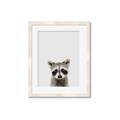 Picture of Peekaboo Raccoon _GroupedProduct_Rectangle_Portrait_Mini_ _GroupedProduct_Rectangle_Portrait_Framed_Matted_