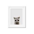 Picture of Peekaboo Raccoon _GroupedProduct_Rectangle_Portrait_Mini_ _GroupedProduct_Rectangle_Portrait_Framed_Matted_