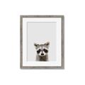 Picture of Peekaboo Raccoon _GroupedProduct_Rectangle_Portrait_Mini_ _GroupedProduct_Rectangle_Portrait_Framed_Matted_