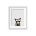 Picture of Peekaboo Raccoon _GroupedProduct_Rectangle_Portrait_Mini_ _GroupedProduct_Rectangle_Portrait_Framed_Matted_