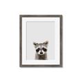 Picture of Peekaboo Raccoon _GroupedProduct_Rectangle_Portrait_Mini_ _GroupedProduct_Rectangle_Portrait_Framed_Matted_