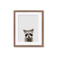 Picture of Peekaboo Raccoon _GroupedProduct_Rectangle_Portrait_Mini_ _GroupedProduct_Rectangle_Portrait_Framed_Matted_