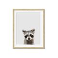 Picture of Peekaboo Raccoon _GroupedProduct_Rectangle_Portrait_Mini_ _GroupedProduct_Rectangle_Portrait_Framed_Matted_