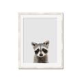 Picture of Peekaboo Raccoon _GroupedProduct_Rectangle_Portrait_Mini_ _GroupedProduct_Rectangle_Portrait_Framed_Matted_