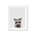 Picture of Peekaboo Raccoon _GroupedProduct_Rectangle_Portrait_Mini_ _GroupedProduct_Rectangle_Portrait_Framed_Matted_