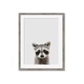 Picture of Peekaboo Raccoon _GroupedProduct_Rectangle_Portrait_Mini_ _GroupedProduct_Rectangle_Portrait_Framed_Matted_