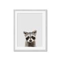 Picture of Peekaboo Raccoon _GroupedProduct_Rectangle_Portrait_Mini_ _GroupedProduct_Rectangle_Portrait_Framed_Matted_