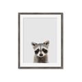 Picture of Peekaboo Raccoon _GroupedProduct_Rectangle_Portrait_Mini_ _GroupedProduct_Rectangle_Portrait_Framed_Matted_