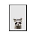 Picture of Peekaboo Raccoon _GroupedProduct_Rectangle_Portrait_Mini_ _GroupedProduct_Rectangle_Portrait_Framed_Matted_