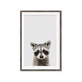 Picture of Peekaboo Raccoon _GroupedProduct_Rectangle_Portrait_Mini_ _GroupedProduct_Rectangle_Portrait_Framed_Matted_