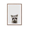 Picture of Peekaboo Raccoon _GroupedProduct_Rectangle_Portrait_Mini_ _GroupedProduct_Rectangle_Portrait_Framed_Matted_