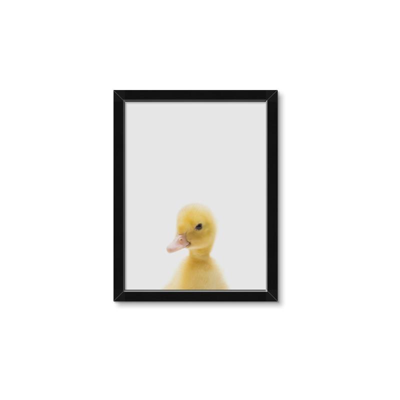 Picture of Baby Duck  _GroupedProduct_Rectangle_Portrait_Mini_ _GroupedProduct_Rectangle_Portrait_Framed_Matted_