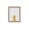 Picture of Baby Duck  _GroupedProduct_Rectangle_Portrait_Mini_ _GroupedProduct_Rectangle_Portrait_Framed_Matted_
