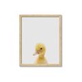 Picture of Baby Duck  _GroupedProduct_Rectangle_Portrait_Mini_ _GroupedProduct_Rectangle_Portrait_Framed_Matted_