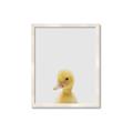 Picture of Baby Duck  _GroupedProduct_Rectangle_Portrait_Mini_ _GroupedProduct_Rectangle_Portrait_Framed_Matted_