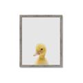 Picture of Baby Duck  _GroupedProduct_Rectangle_Portrait_Mini_ _GroupedProduct_Rectangle_Portrait_Framed_Matted_