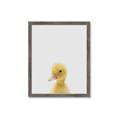 Picture of Baby Duck  _GroupedProduct_Rectangle_Portrait_Mini_ _GroupedProduct_Rectangle_Portrait_Framed_Matted_
