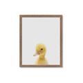 Picture of Baby Duck  _GroupedProduct_Rectangle_Portrait_Mini_ _GroupedProduct_Rectangle_Portrait_Framed_Matted_