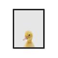 Picture of Baby Duck  _GroupedProduct_Rectangle_Portrait_Mini_ _GroupedProduct_Rectangle_Portrait_Framed_Matted_