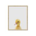 Picture of Baby Duck  _GroupedProduct_Rectangle_Portrait_Mini_ _GroupedProduct_Rectangle_Portrait_Framed_Matted_
