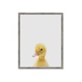 Picture of Baby Duck  _GroupedProduct_Rectangle_Portrait_Mini_ _GroupedProduct_Rectangle_Portrait_Framed_Matted_