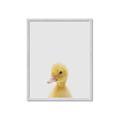 Picture of Baby Duck  _GroupedProduct_Rectangle_Portrait_Mini_ _GroupedProduct_Rectangle_Portrait_Framed_Matted_