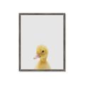 Picture of Baby Duck  _GroupedProduct_Rectangle_Portrait_Mini_ _GroupedProduct_Rectangle_Portrait_Framed_Matted_