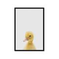 Picture of Baby Duck  _GroupedProduct_Rectangle_Portrait_Mini_ _GroupedProduct_Rectangle_Portrait_Framed_Matted_