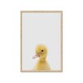 Picture of Baby Duck  _GroupedProduct_Rectangle_Portrait_Mini_ _GroupedProduct_Rectangle_Portrait_Framed_Matted_