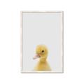 Picture of Baby Duck  _GroupedProduct_Rectangle_Portrait_Mini_ _GroupedProduct_Rectangle_Portrait_Framed_Matted_