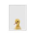 Picture of Baby Duck  _GroupedProduct_Rectangle_Portrait_Mini_ _GroupedProduct_Rectangle_Portrait_Framed_Matted_