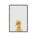 Picture of Baby Duck  _GroupedProduct_Rectangle_Portrait_Mini_ _GroupedProduct_Rectangle_Portrait_Framed_Matted_