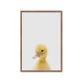 Picture of Baby Duck  _GroupedProduct_Rectangle_Portrait_Mini_ _GroupedProduct_Rectangle_Portrait_Framed_Matted_