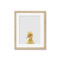 Picture of Baby Duck  _GroupedProduct_Rectangle_Portrait_Mini_ _GroupedProduct_Rectangle_Portrait_Framed_Matted_