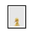 Picture of Baby Duck  _GroupedProduct_Rectangle_Portrait_Mini_ _GroupedProduct_Rectangle_Portrait_Framed_Matted_