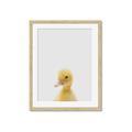 Picture of Baby Duck  _GroupedProduct_Rectangle_Portrait_Mini_ _GroupedProduct_Rectangle_Portrait_Framed_Matted_